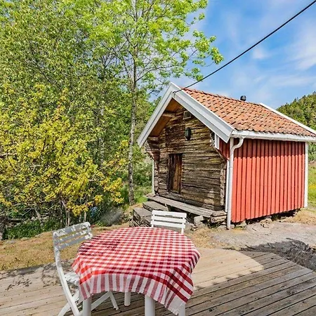 Lillekleiv * Høvåg